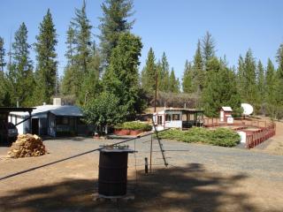 10696 Bucktail Dr, Groveland, CA 95321-9759