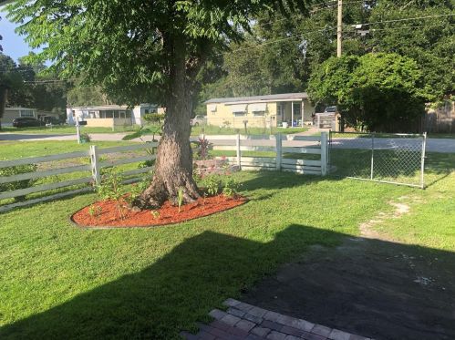 1413 Faye Ave, Lakeland FL  33803-1715 exterior