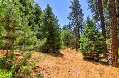 6016 Silverleaf Dr, Michigan Bluff CA  95631-9631 exterior