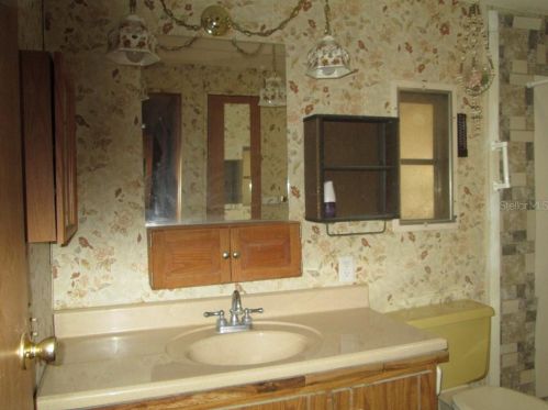 1162 Cr 440a, Lake Panasoffkee FL  33538-5435 exterior
