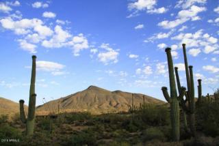 41764 99th Way, Scottsdale, AZ 85262-2812