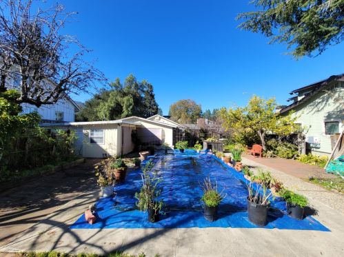 495 Bird Ave, Los Gatos, CA 95032-7327