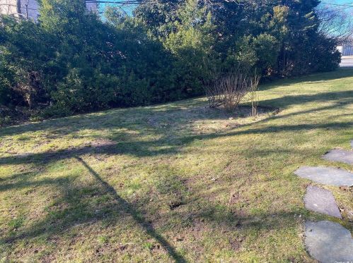 258 Steamboat Rd, Great Neck NY  11024-1634 exterior