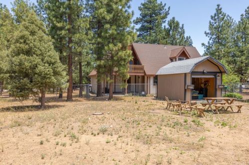 236 Whipple Dr, Big Bear City CA  92314-9163 exterior