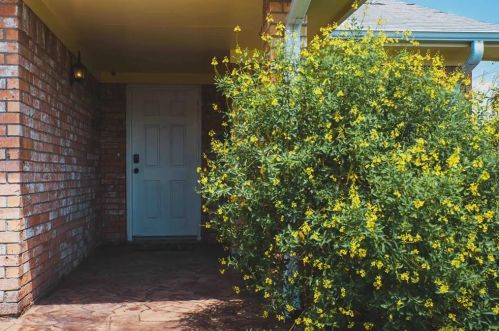 2507 37th St, Galveston TX  77550-8825 exterior