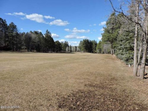 3618 Roaring Fork Dr, Pinetop, AZ 85935-7536