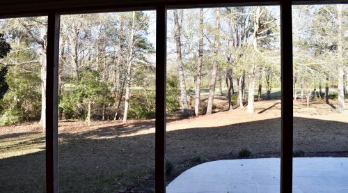 140 Rdg Lk Dr, Foreston SC 29102-4478 exterior