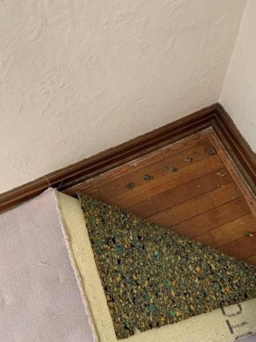 320 Cedar Blvd, Pittsburgh PA  15228-1108 exterior