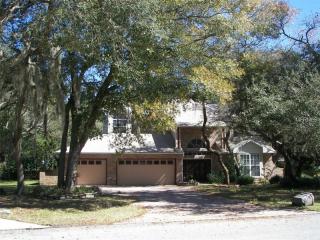 7243 Morning Dove Loop, Lakeland, FL 33809-0851