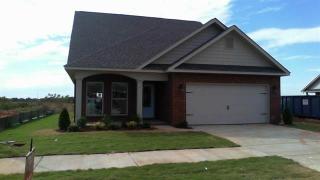 332 Harbor Glen Dr, Madison AL  35756-2827 exterior