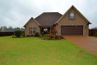520 Green Drake Cv, Medina, TN 38355-6836