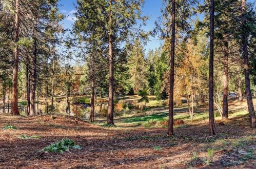 13943 Greenhorn Rd, Grass Valley CA  95945-8484 exterior