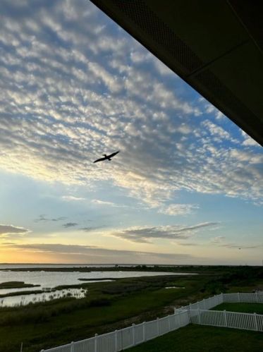 5126 Allen Cay Dr, Texas City TX  77590-1413 exterior