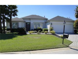 9102 137th Street Rd, Summerfield, FL 34491-8202