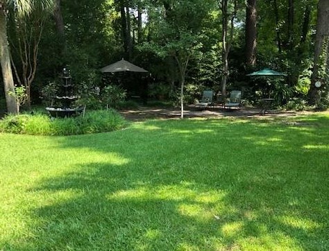 1030 Planters Curv, Mount Pleasant SC  29464-9534 exterior