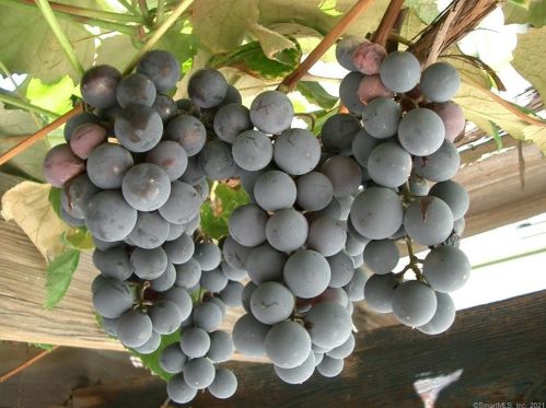 32 Denison Ave, Groton CT  06340-4415 exterior