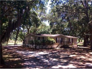 697 Honeyfarm Ln, Auburndale, FL 33823-8306