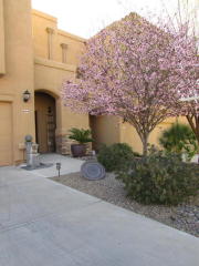 604 Weckl Pl, Tucson, AZ 85704-6076