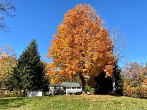 5 Court Ln, Fishkill NY  12524-2432 exterior