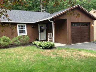 11 Pepperbush Pl, Ballston Spa, NY 12020-4469