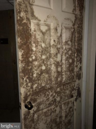 1034 Philadelphia Ave, Gilbertsville PA  19525-9511 exterior