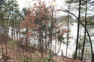 13 Pond Rd, Southwick, MA 01077-9353