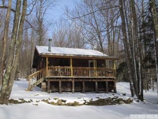 349 Peraglie Rd, North Harpersfield, NY 12093-4904