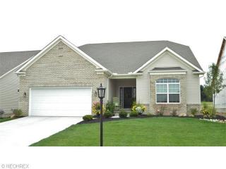 3976 Hedgewood Dr, Medina, OH 44256-6521