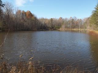 1494 Golden Pointe Rd, Spencer, TN 38585-4402