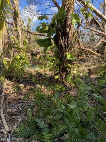 3548 Tangerine Dr, Saint James City FL  33956-2536 exterior