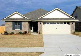 163 Harold Murphy Dr, Madison, AL 35756-3152