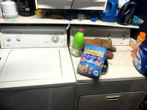 5227 Bonita Ave, Dallas TX  75206-6725 exterior