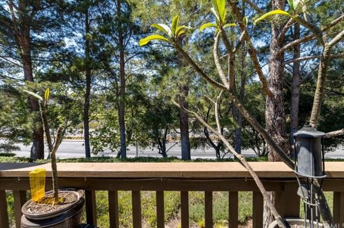 83 Timbre, Trabuco Canyon CA  92688-2036 exterior