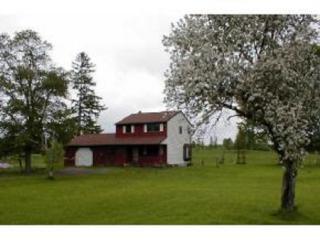 353 Owen Hill Rd, Centerlisle, NY 13797-1126