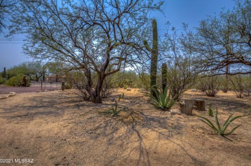 4510 Homestead Ave, Tucson, AZ 85749-8235
