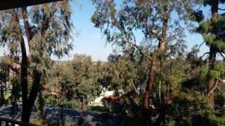 2342 Hosp Way, Carlsbad CA 92008-1244 exterior