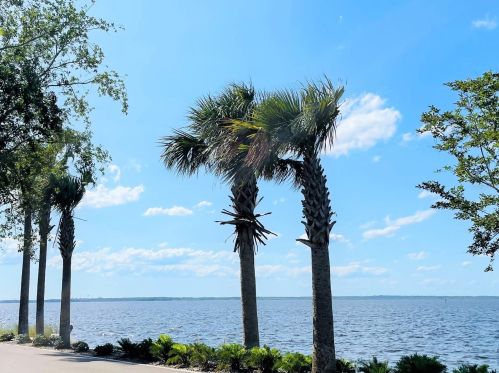 438 Palm Dr, Sanford FL  32771-9502 exterior