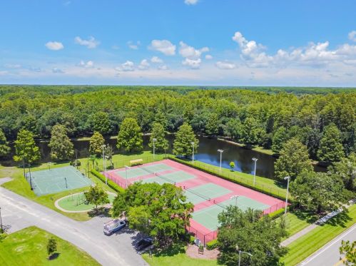 3664 Darston St, Palm Harbor FL  34685-1182 exterior