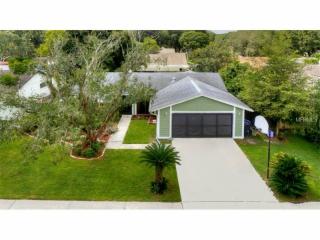 2323 Southern Lites Ave, Lutz, FL 33549-5869
