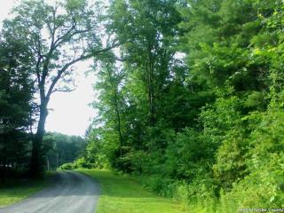 9 Montague Ln, West Saugerties, NY 12477-5073