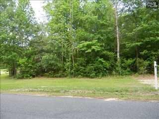 1240 Blue Johnson Rd, Horrel Hill, SC 29061-9072