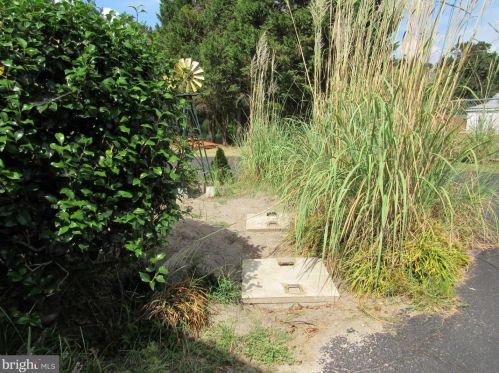 12007 Laurel Rd, Laurel DE  19956-3538 exterior