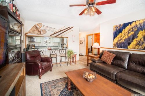 46 Avalanche Cir, Montezuma, CO 80435-7643