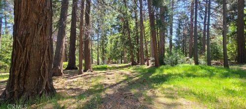 13783 Nimshew Rd, Nimshew CA  95954-9690 exterior