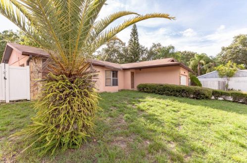 2946 Hanna Ct, Palm Harbor, FL 34684-1712
