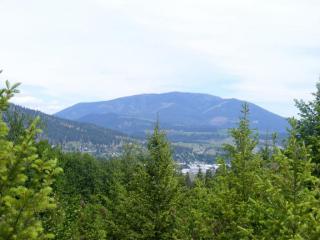 357 Corbett Creek Rd, Colville, WA 99114-9668