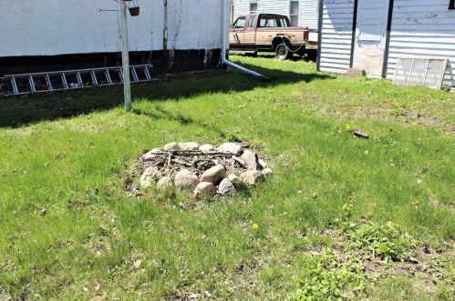 419 Budd St, Fairmont MN  56031-2959 exterior