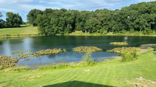 4156 Oakmont, Crown Point IN 46307-8958 exterior