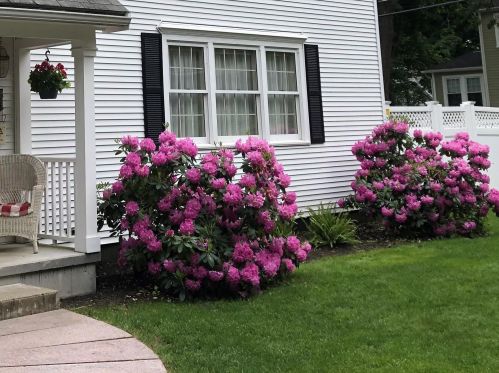 6 Elliott St, Nashua, NH 03064-6213