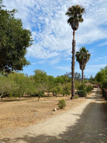 4441 La Paloma Ave, Santa Barbara, CA 93105-9719